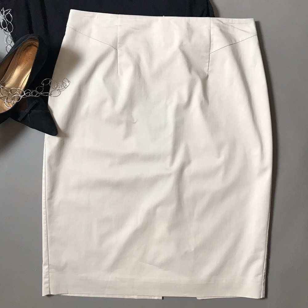 Ann Taylor Skirt EUC